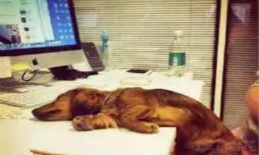 日本用無人機催員工下班