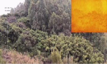 無人機(jī)森林防火應(yīng)用